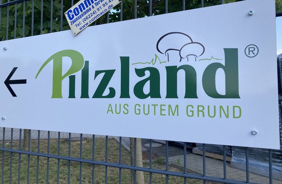 Wegweiser zum Win-Winner. Fotos: Gunter Haug