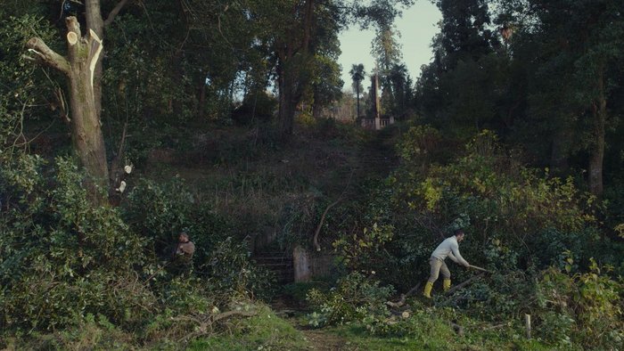 Beschnitten und entwurzelt, unterm Kreuz und bei Kirchenmusik.