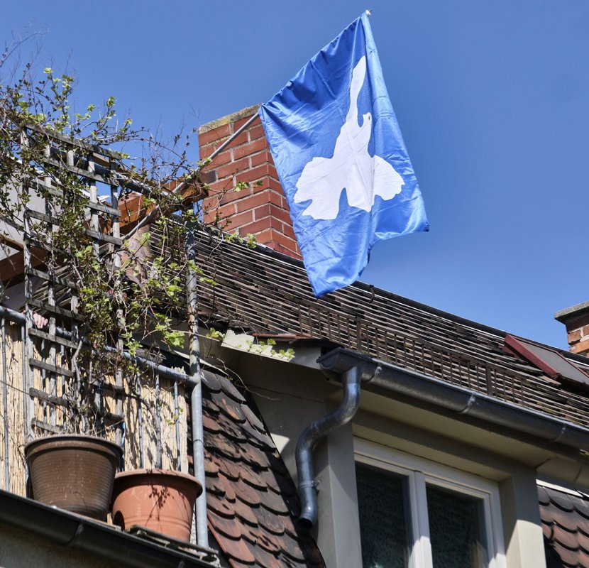 Die Friedenstaube flattert im Himmelblauen.