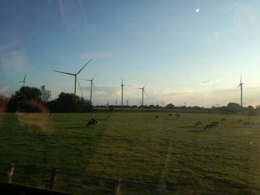 Schleswig-Holstein aus dem Zugfenster.