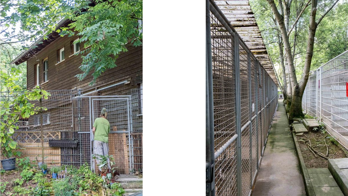 Ein Leben für Tiere