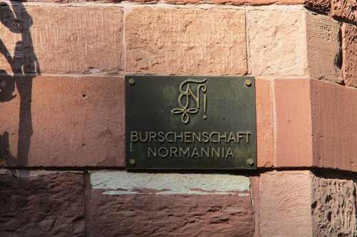 Schritt für Schritt kommt ans Licht, was hinter dieser Mauer los ist. Foto: Mario Damolin