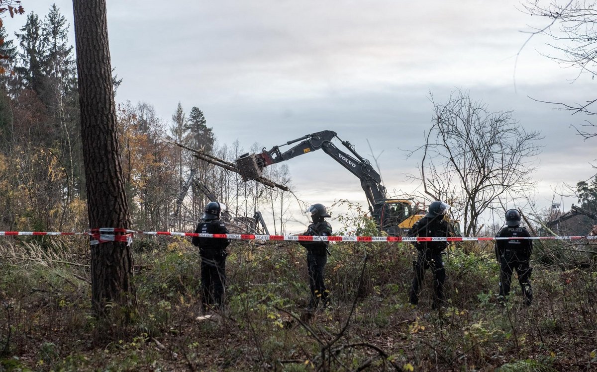 Staatsmacht vor Kahlschlag.