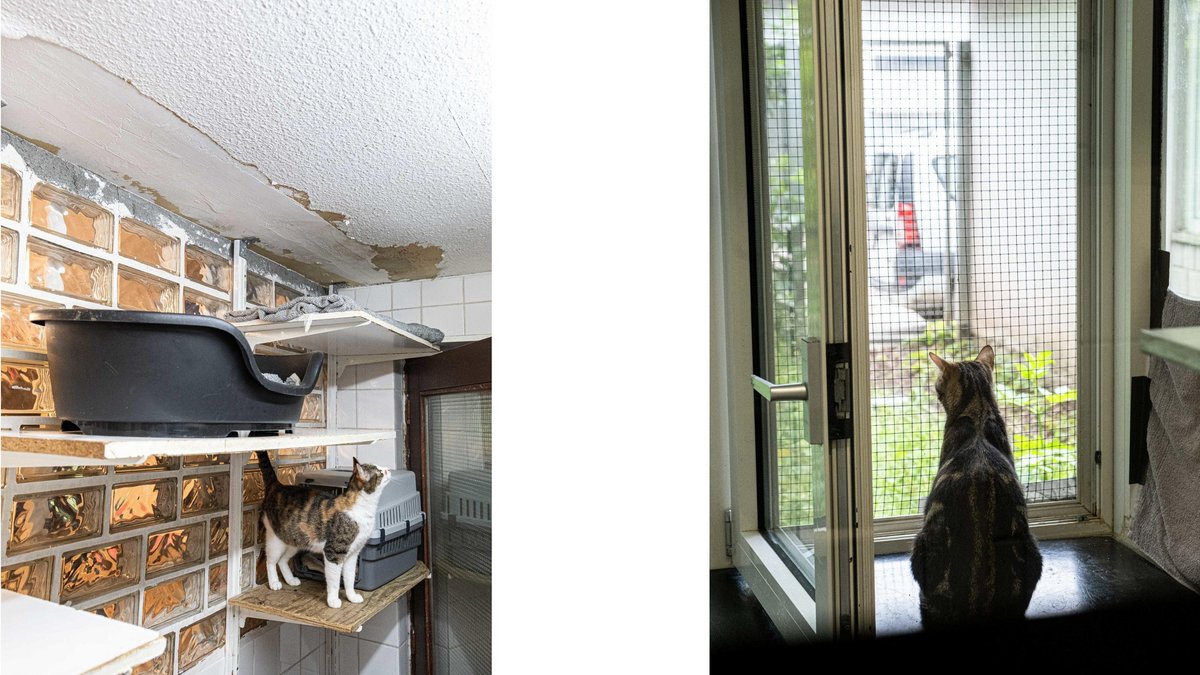 Ein Leben für Tiere