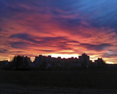 Tendenz steigend: 2015 war viel zu heiß und viel zu trocken.