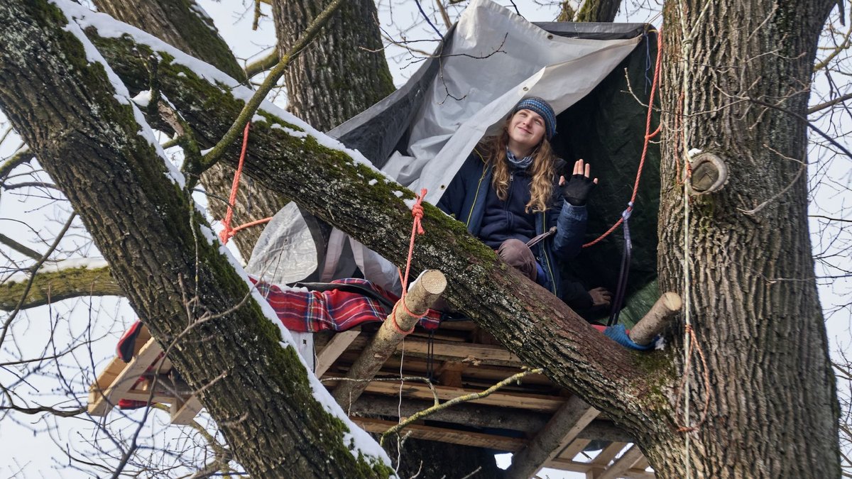 Samuel Bosch im Baum. Foto: Joachim E. Röttgers