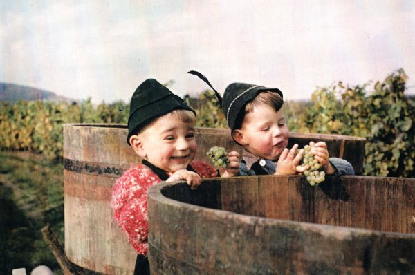 Frühe Weinbau-Erfahrungen: Ebbe Kögel (links) 1956 im Alter von drei Jahren. Foto: Eugen Beurer