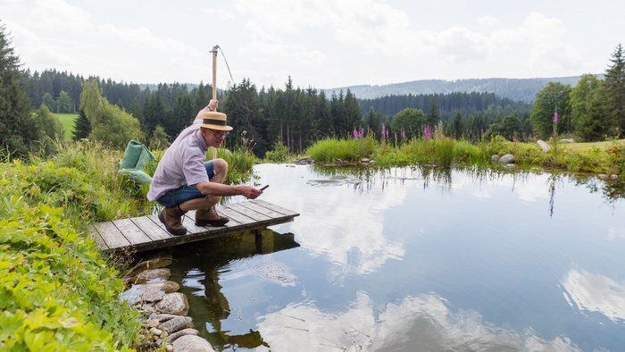Sorg schleift die Sense – gleich geht es den Lupinen (hinten) an den Stängel. Sorg schleift die Sense – gleich geht es den Lupinen (hinten) an den Stängel.