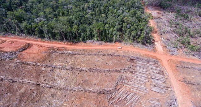 Einschüchterung misslungen