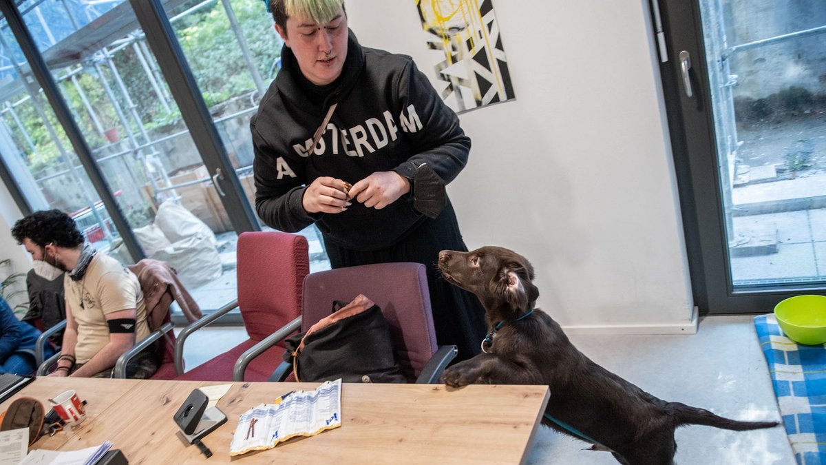 Vivien Betz mit Bruno, ihrem Therapiehund in Ausbildung. Fotos: Jens Volle