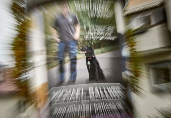 Wenig transparent: Michael Ballwegs Geldquellen.