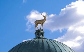 Allianzen unterm Goldhirsch