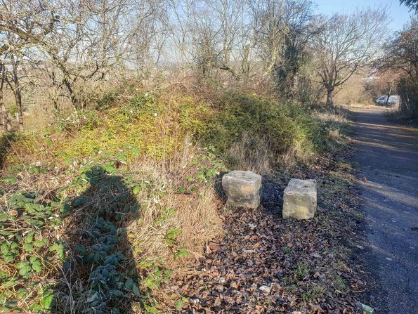 ... vor der Rodung aus. Fotos: Andreas Goldmann