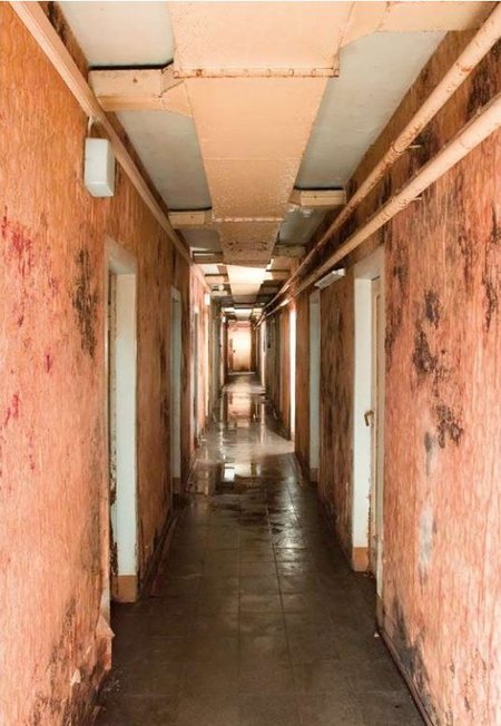 Der Untergrund ist Pilzgebiet: schimmelnder Bunker unter dem Marktplatz. Foto: Jörg Esefeld, <a href="https://creativecommons.org/licenses/by-sa/4.0" title="Creative Commons Attribution-Share Alike 4.0">CC BY-SA 4.0</a>, <a href="https://commons.wikimedi Der Untergrund ist Pilzgebiet: schimmelnder Bunker unter dem Marktplatz. Foto: Jörg Esefeld, <a href="https://creativecommons.org/licenses/by-sa/4.0" title="Creative Commons Attribution-Share Alike 4.0">CC BY-SA 4.0</a>, <a href="https://commons.wikimedia.org/w/index.php?curid=109363043">Link</a>