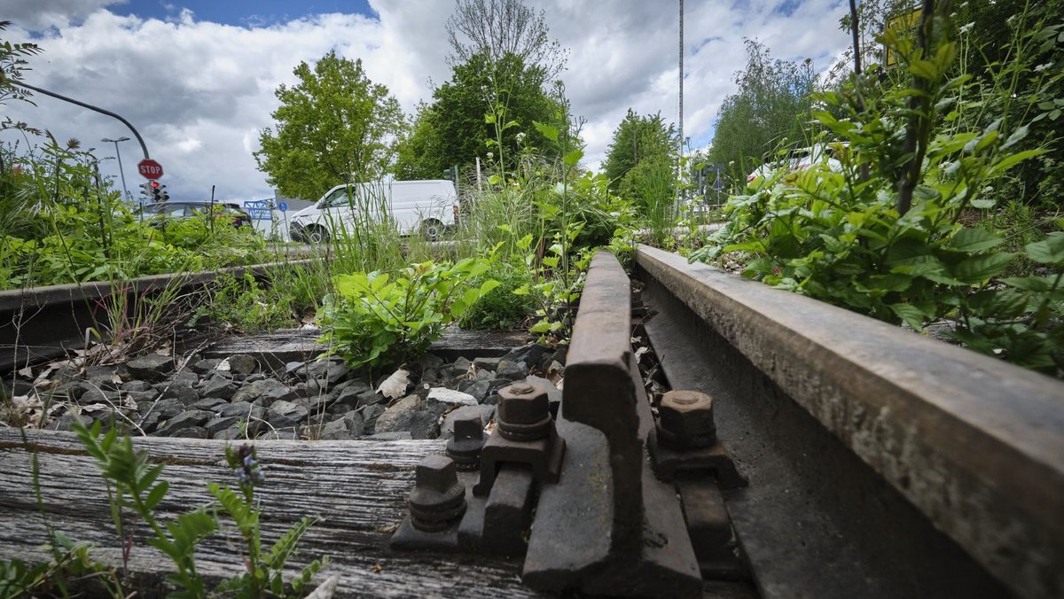 Die Gleise liegen noch und sind auf der gesamten Strecke auch noch nicht entwidmet. Von daher könnte es mit der Reaktivierung ...