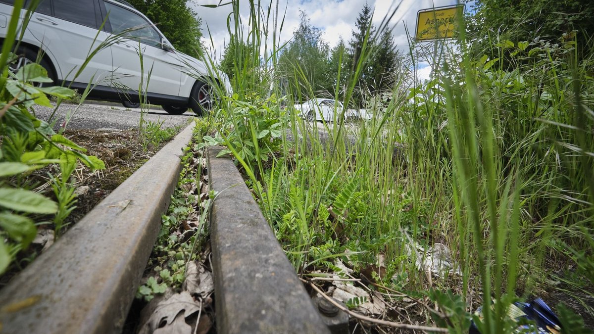 Doch die Gleise rosten vor sich hin – hier vor Asperg, ziemlich genau in der Mitte zwischen Ludwigsburg und Markgröningen.