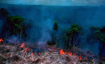 Üppige Renten dank Landraub?