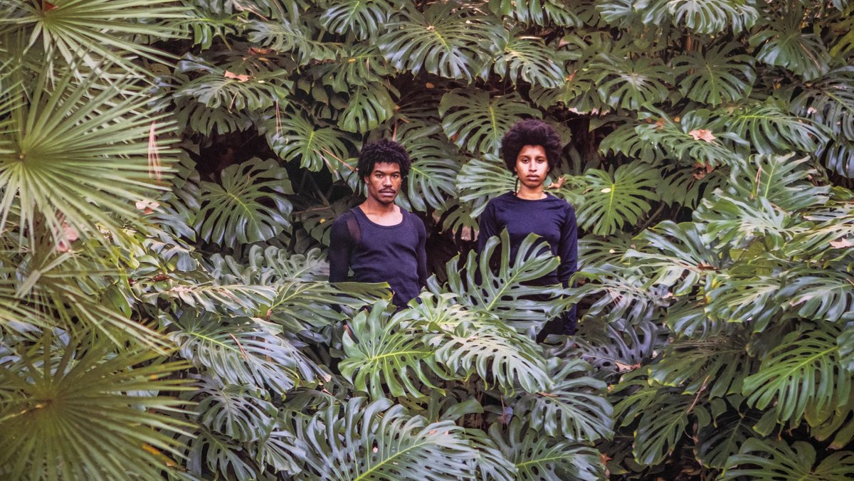 Detail aus Mónica de Mirandas "Routes to roots". Detail aus Mónica de Mirandas "Routes to roots".