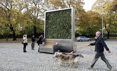 Oslo machts vor: City Tree in der Stadt. Foto: OsloPhototour