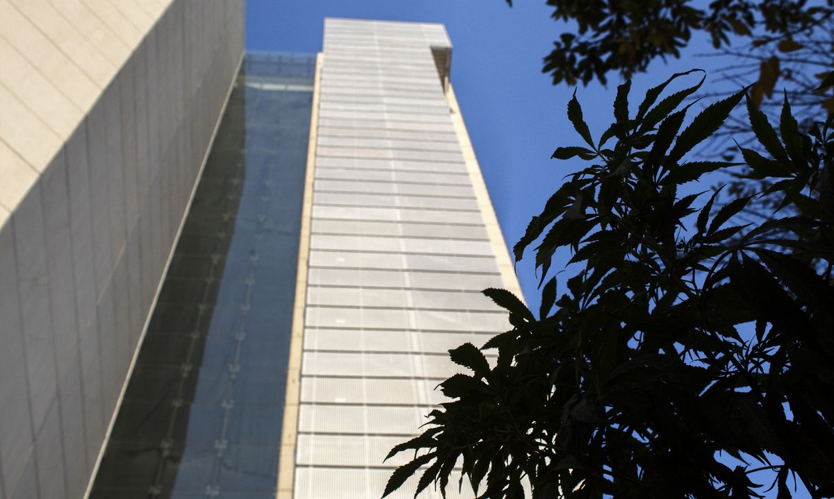 Das Gebäude des Senats der Republik – davor die Pflanze, mit der die mexikanische Narco-Kultur geboren wurde.