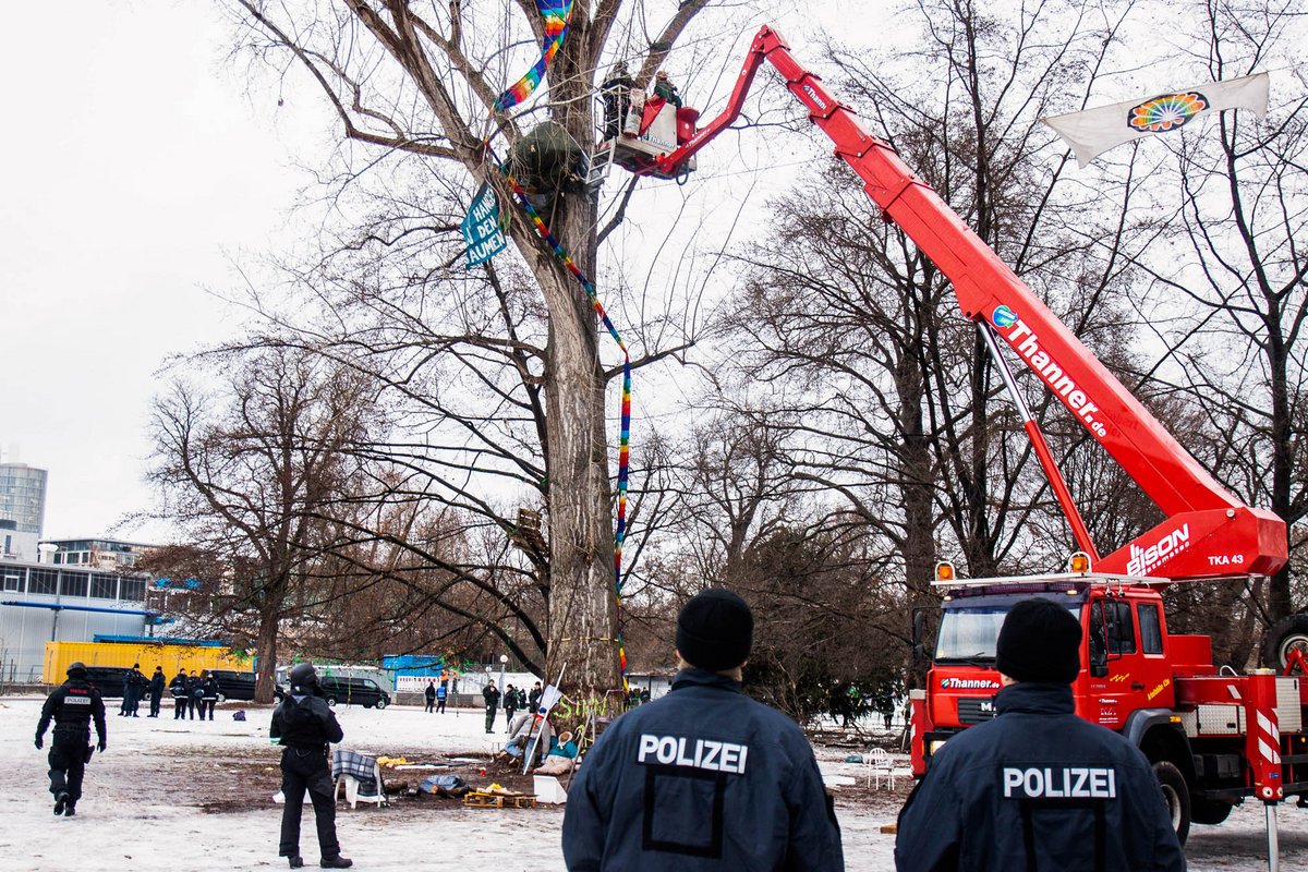 In den frühen Morgenstunden werden die Robin-Wood-Leute von den Bäumen geholt.