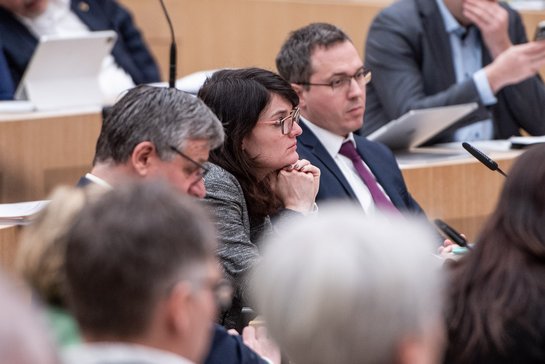 Christine Neumann-Martin, MdL aus Ettlingen. Foto: Jens Volle