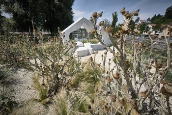 Die Waiblinger Wüste in der Nahaufnahme. Die Waiblinger Wüste in der Nahaufnahme.