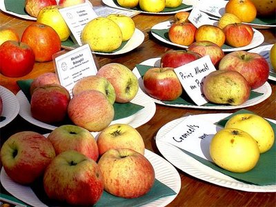 Apfelfest mit seltenen Sorten. Foto: Eden 