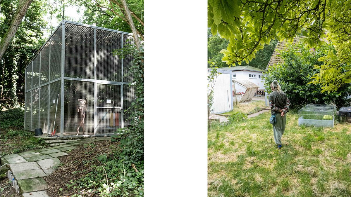 Ein Leben für Tiere