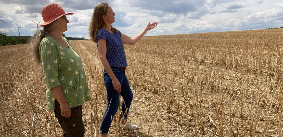 The Hub für the Länd