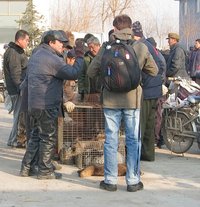 Rasante Zuwachsraten beim chinesischen Pelzhandel. Foto: Karremann