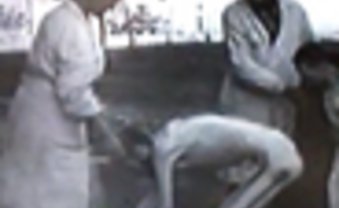 Chemiker der Vernichtung