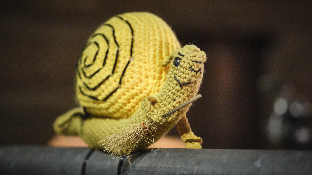 Schnecke bei der Kehrwoche.