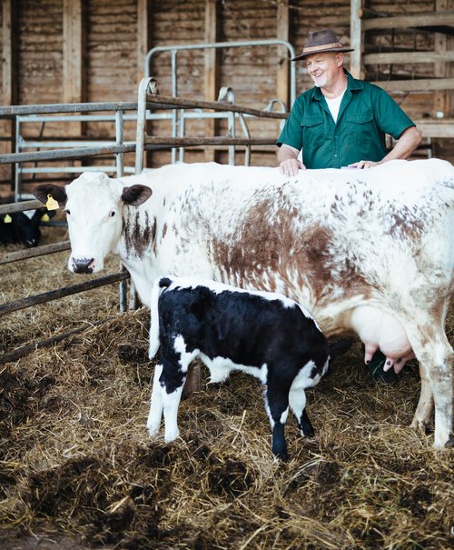Thomas Schumacher freut sich über den "schönen grünen Filz". Foto: Hättelihof