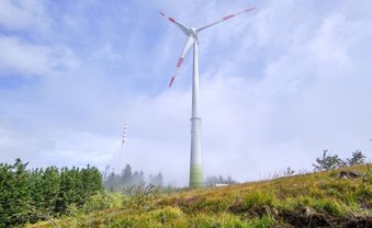 Auerhähnen ist das Windrad piepegal