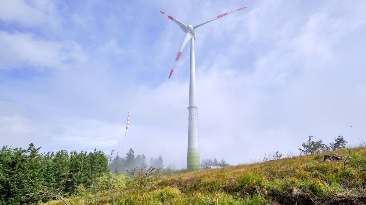 Auf der Hornisgrinde, mit fast 1.200 Metern der höchste Berg des Nordschwarzwalds, prangt ein Windrad. Von Auerhühnern keine Spur.