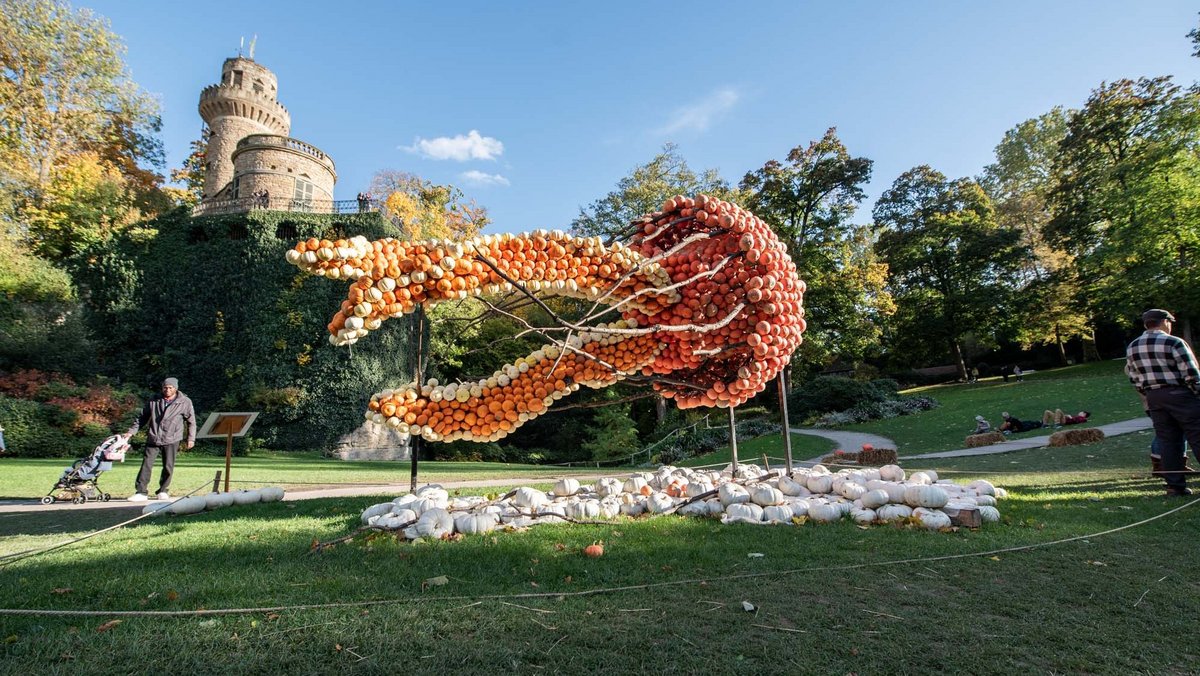 Diese Qualle sieht hingegen viel freundlicher aus, so anmutig und schwerelos.  Diese Qualle sieht hingegen viel freundlicher aus, so anmutig und schwerelos.