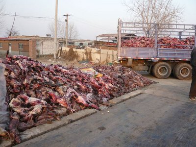 Kehrseite des Booms: Berge gehäuteter Pelztiere. Foto: Peta Deutschland
