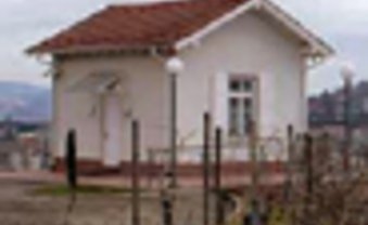 Im Weinberg der Macht