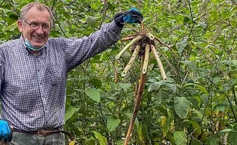 Mit Spaten und Machete