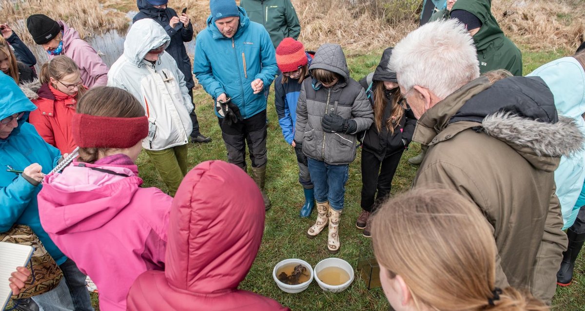 Amphibieninspektion: Arten-Experte Thomas Bamann (blaue Jacke, blaue Mütze) erläutert, was es zu sehen gibt. Amphibieninspektion: Arten-Experte Thomas Bamann (blaue Jacke, blaue Mütze) erläutert, was es zu sehen gibt.