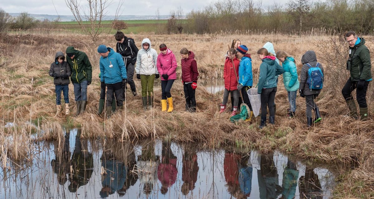 Expedition auf der Großseggenwiese in Ammerbuch bei Tübingen.