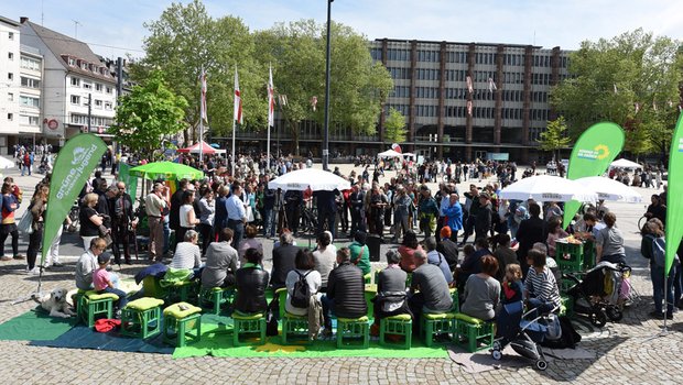 Grün, grün, grün sind alle meine Farben. 