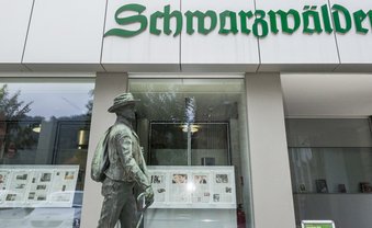 Kahlschlag im Schwarzwald