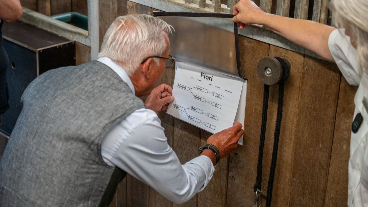 Neues Schild mit neuem Namen auf der Stallbox.