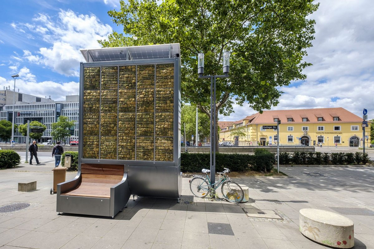 Ein netter Versuch, leider ziemlich wirkungslos: die Mooswand am Charlottenplatz 2018.