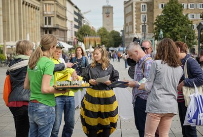 Mit Honigkuchen: Unterschriften sammeln fürs Volksbegehren auf der Stuttgarter Königstraße. Mit Honigkuchen: Unterschriften sammeln fürs Volksbegehren auf der Stuttgarter Königstraße.