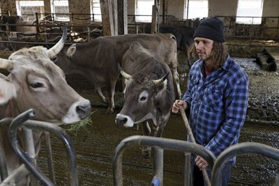 Thorsten Krug: Herr der Rinder am Heggelbachhof.
