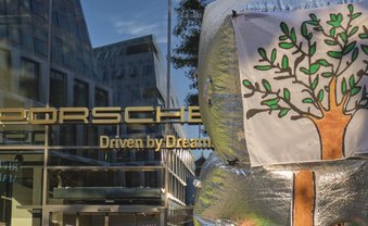 Steineichen gegen Sportwagen