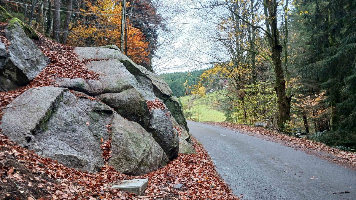 Hier hat die Gestapo Wladyslaw Repetowski aufgehängt, ein Kreuz soll nun bald an die Tat und an ihr Opfer erinnern. Foto: Martin Himmelheber